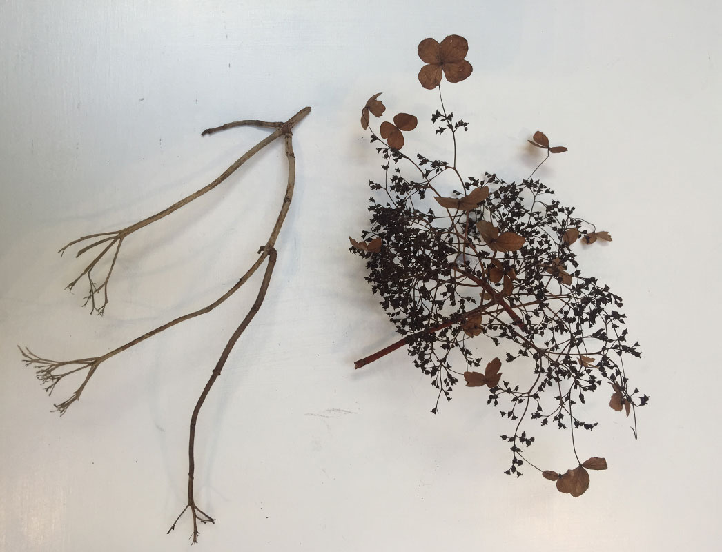 Annet van Egmond logo