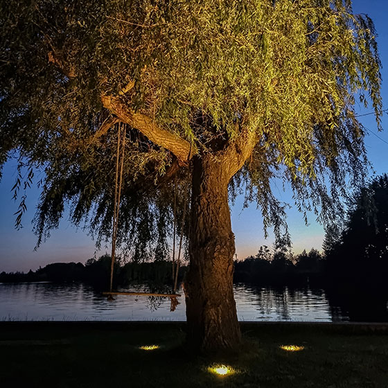 Structured garden lighting setup: foundation lights and accent illumination