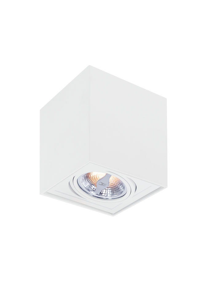 TROY 70 surface mounted luminaire 1-light white - Opbouwspots