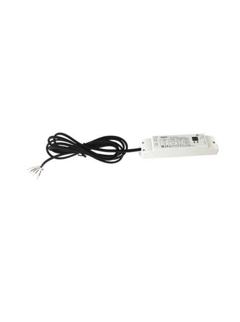 Dali driver 24VDC 50W excl. connector