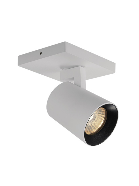 Epic 50 surface mounted luminaire 1-light white