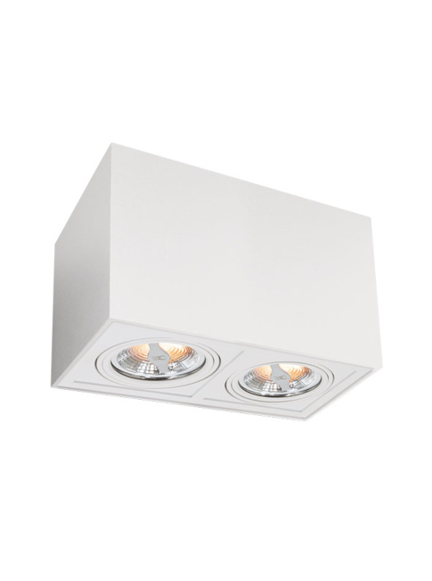 Troy 70 surface-mounted luminaire 2-light white