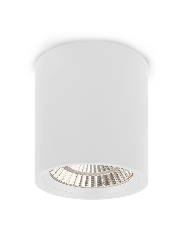 MARINO 111 opbouwarmatuur 1-lichts DALI Santiago wit - Opbouwspots