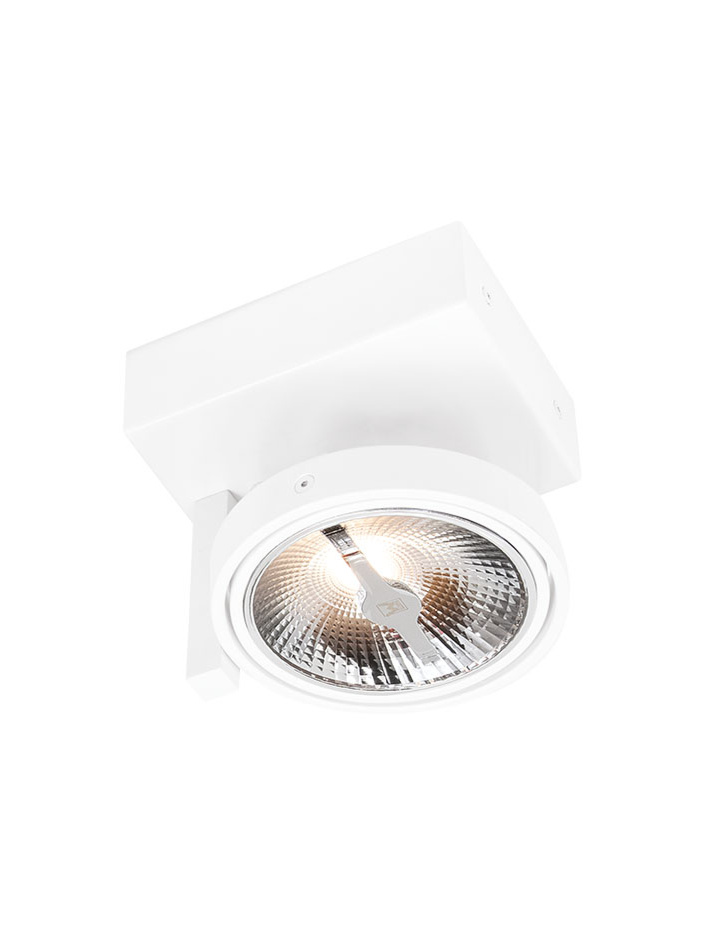 CHIQUE 111 surface mounted luminaire 1-light white