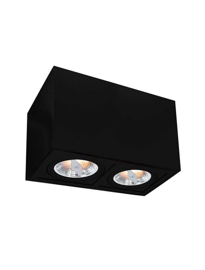 TROY 70 surface-mounted luminaire 2-light black