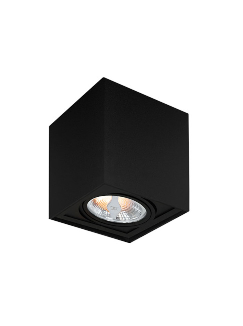 TROY 70 surface-mounted luminaire 1-light black