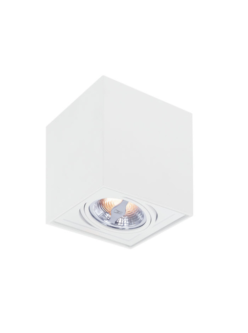 TROY 70 surface mounted luminaire 1-light white