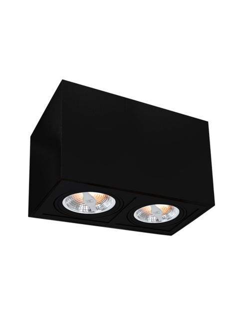 TROY 70 surface-mounted luminaire 2-light black