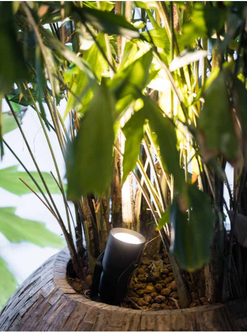 Vibe s garden spotlight 12V