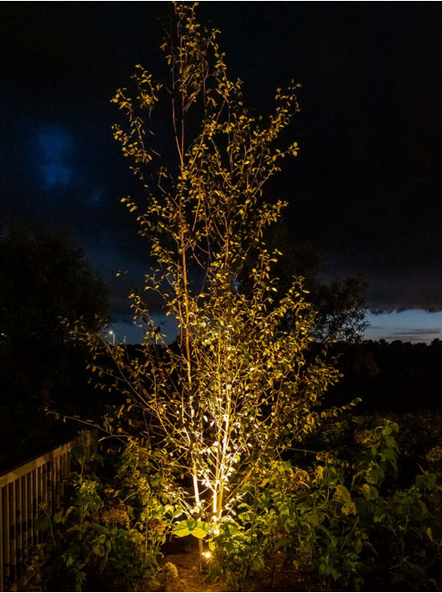 Vibe m garden spotlight 12V