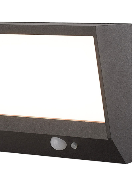 ROCCO SOLAR wandlamp 2W 2700K zwart met sensor IP65 niet dimbaar - Wandlampen