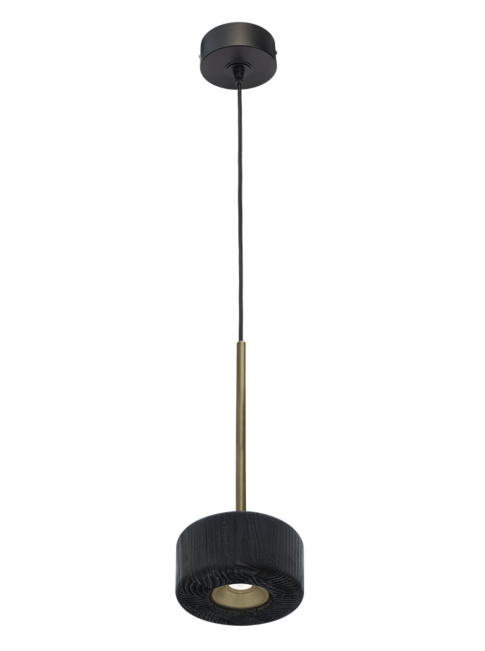 Compound hanging lamp 10 INCH designed by Peter Kos - Hanglampen