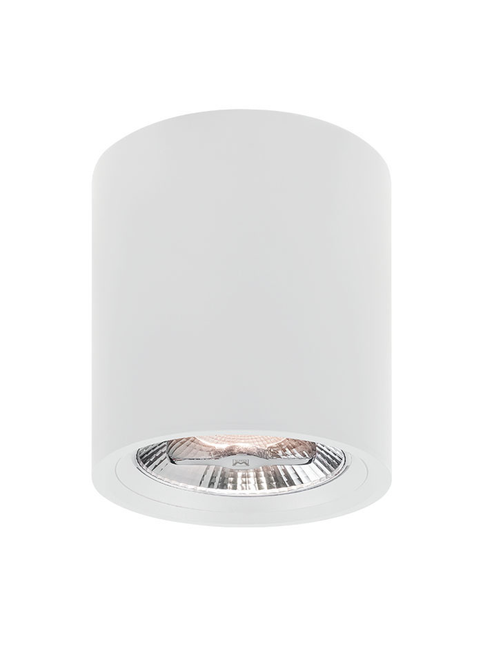 MARINO 111 1-light DALI white surface-mounted luminaire - Opbouwspots