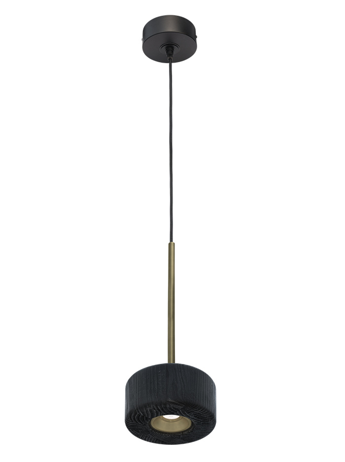 Compound hanging lamp 10 INCH designed by Peter Kos - Hanglampen