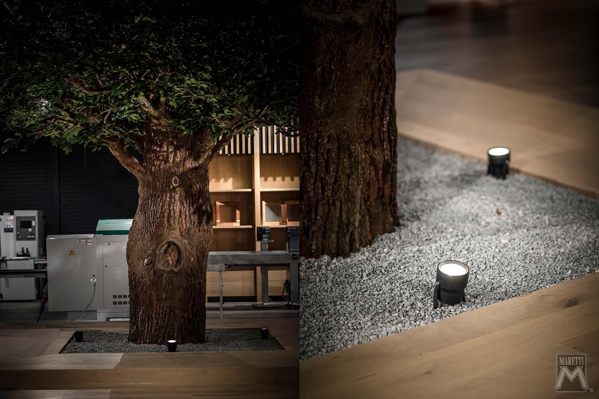 Projectverlichting Maretti Lighting Showrooms De Groot